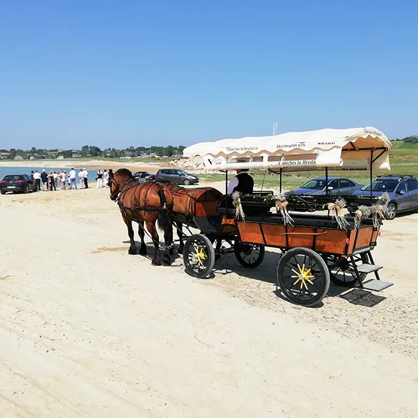 Les mariés sur la plage