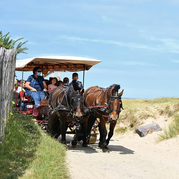 Balade sur le bord de mer