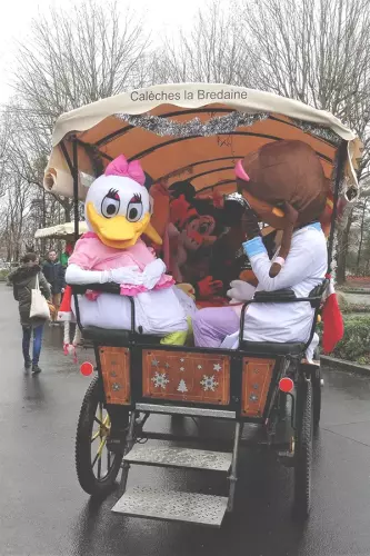 Animation de Mardi-Gras