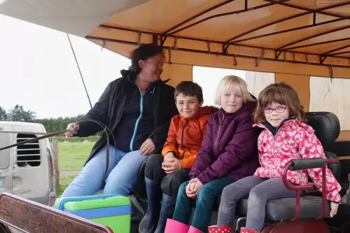 Balade en calèche à cheval