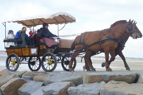 Balade en calèche à cheval