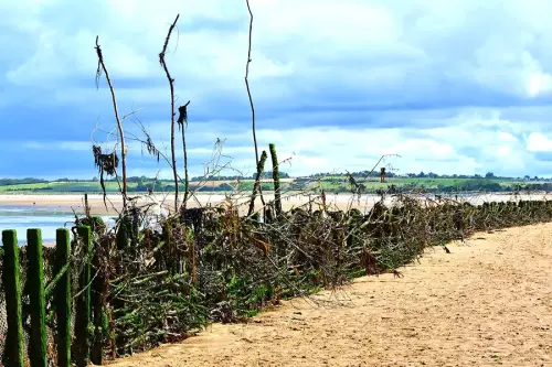 Balade en calèche à cheval