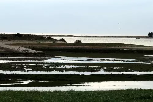 Balade en calèche à cheval