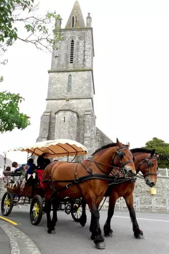 Balade en calèche à cheval