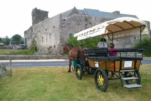 Balade en calèche à cheval