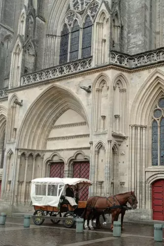Balade en calèche à cheval