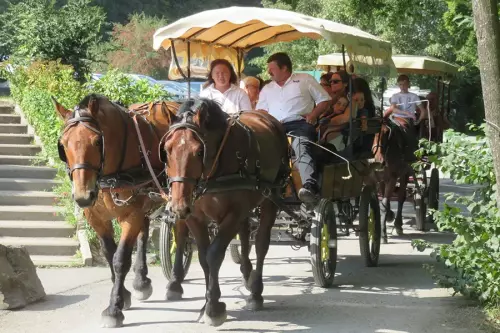 Balade en calèche à cheval