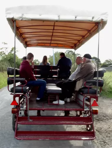 Balade en calèche Handicap