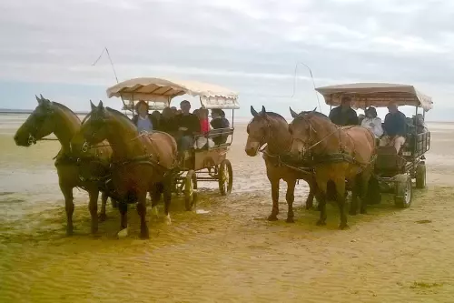 Balade en calèche Handicap