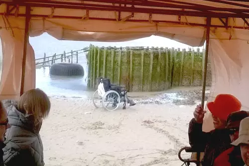 Balade en calèche Handicap