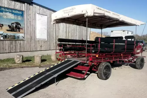 Balade en calèche Handicap
