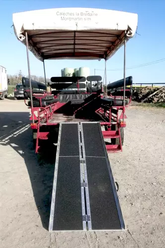 Balade en calèche Handicap