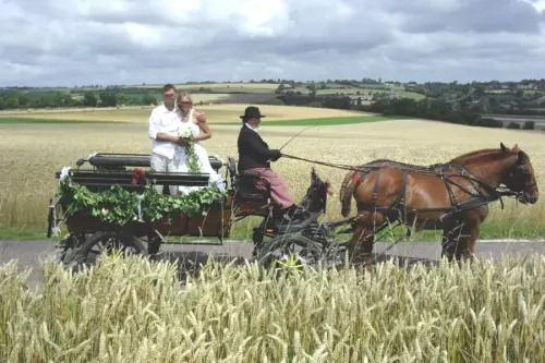 Calèche des mariés