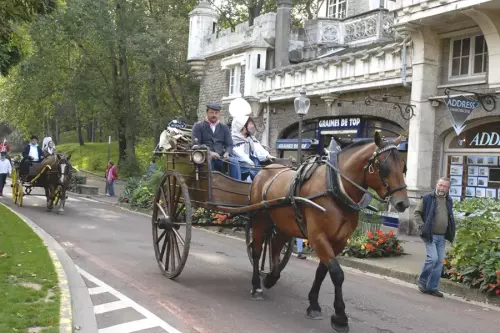 Mariage en attelage ancien