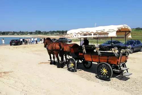Mariés et cortège sur la plage