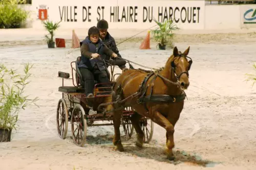 Concours Indoor Saint-Hilaire-du-Harcouët