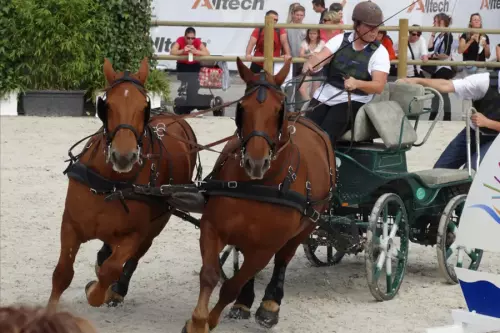 Jeux équestres mondiaux, marathon
