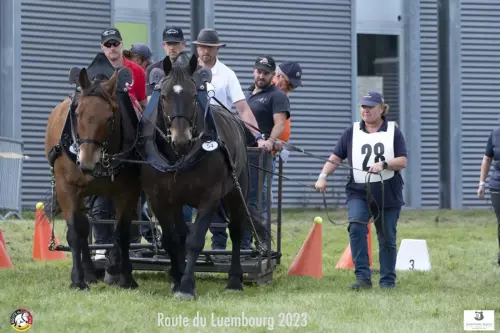 L'épreuve de traction (Lydia Esnol)