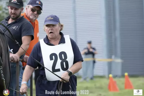 L'épreuve de traction (Lydia Esnol)