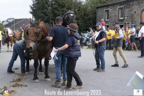 Le routier (Lydia Esnol)