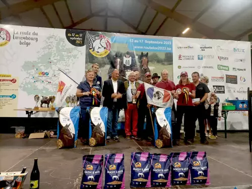 2ᵉ place pour l'épreuve de traction en Cob normand