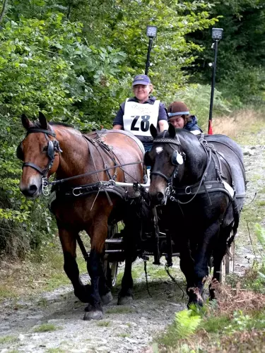 Épreuve d'endurance de 24h en relais
