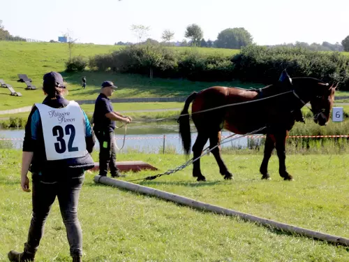 Épreuve de débardage avec Virgul du Four au labeur