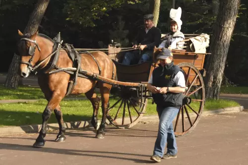 Route du Poisson, défilé au Touquet