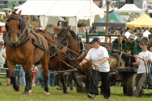 Route du vin et du comté, traction à trois