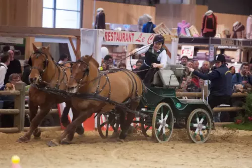 Salon de l'Agriculture, marathon