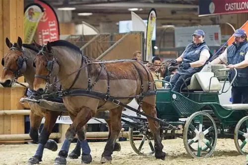 Salon de l'Agriculture, marathon