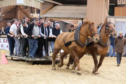 Salon de l'Agriculture, traction