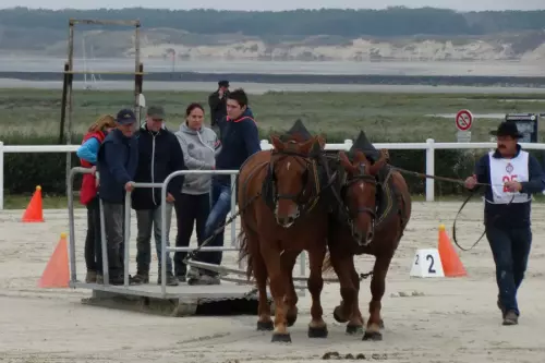 Traction-Mania au Touquet