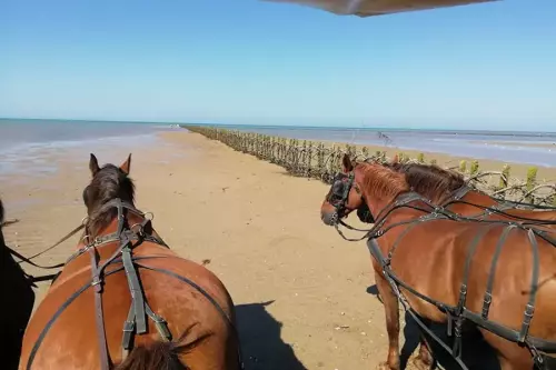 Pêcherie La Maillard