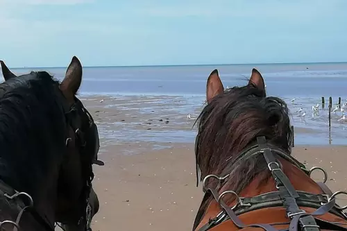 Pêcherie La Maillard