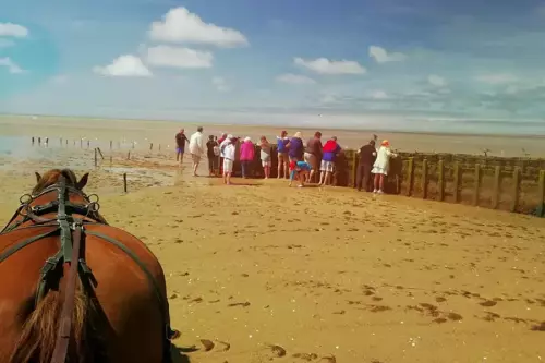 Pêcherie La Maillard