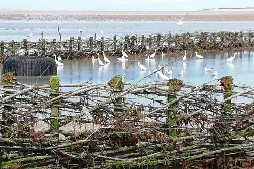 Pêcherie La Maillard