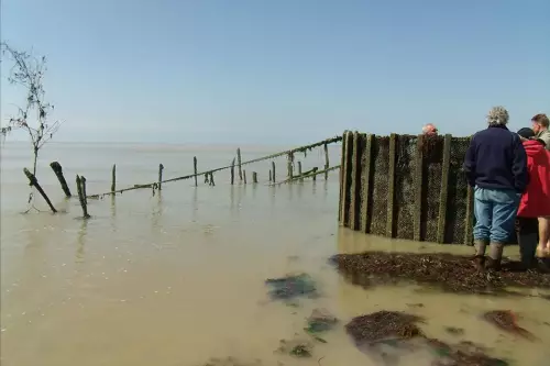 Pêcherie La Maillard