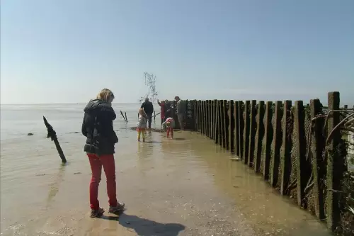 Pêcherie La Maillard