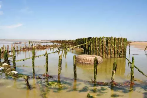 Pêcherie La Maillard