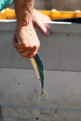 Pêcherie La Maillard